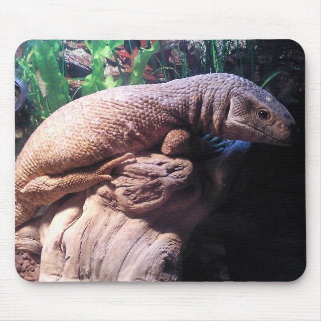 Savannah Monitor Mouse Pad (Front)