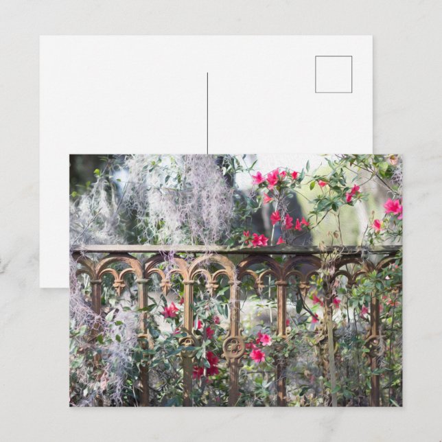 Savannah Post Card Laurel Grove (Front/Back)