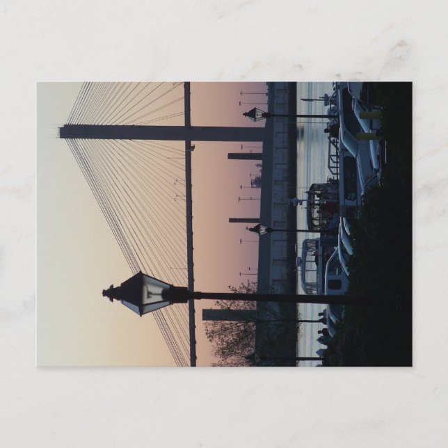 Savannah River Street Postcard (Front)