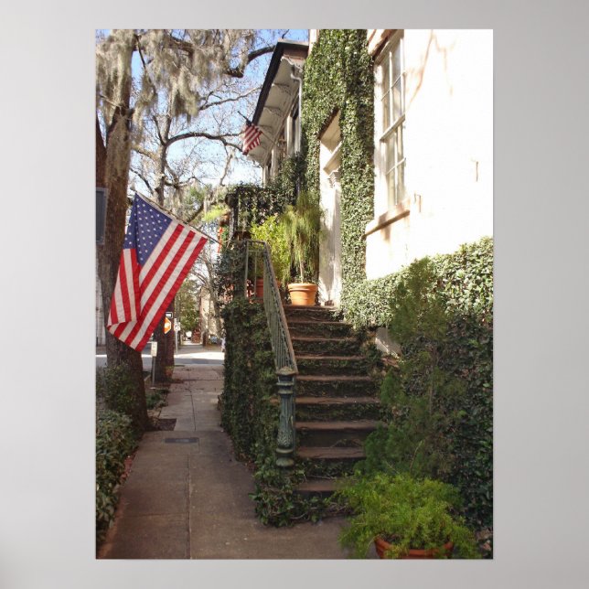 Savannah Staircase Framed Print (Front)
