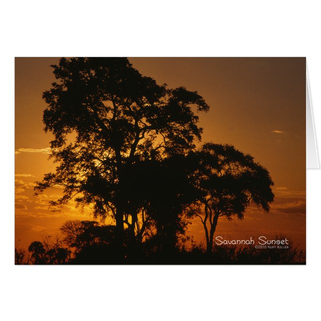 Savannah Sunset (Front Horizontal)
