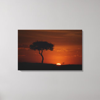 Savannah Sunset Canvas Print