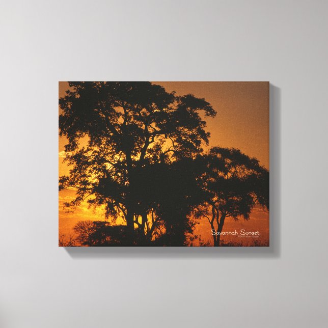 Savannah Sunset Canvas Print (Front)