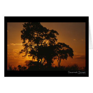 Savannah Sunset Card