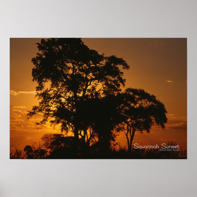 Savannah Sunset Poster (Front)
