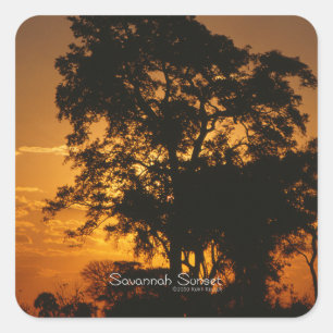 Savannah Sunset Square Sticker
