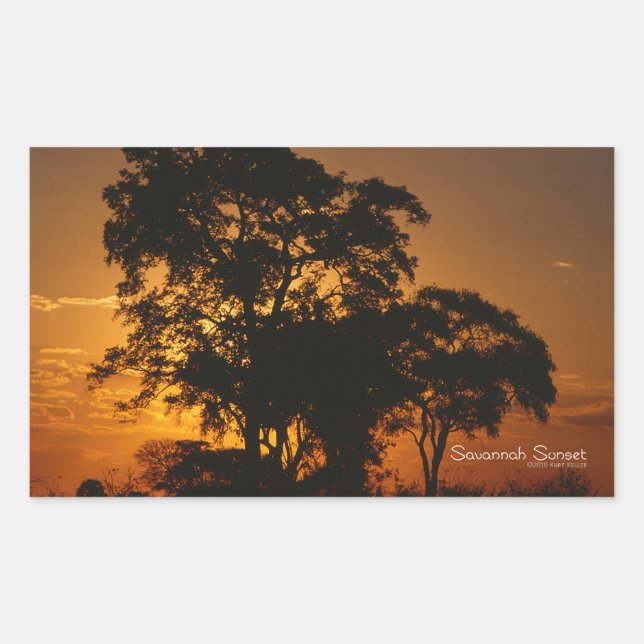 Savannah Sunset Sticker (Front)