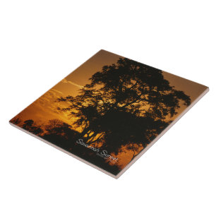 Savannah Sunset Tile