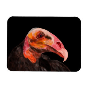 Savannah Vulture Magnet