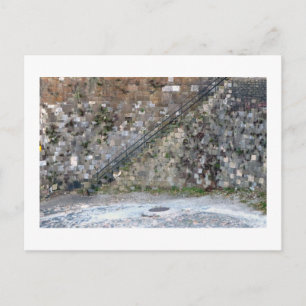 Savannah Wall Postcard