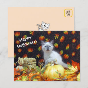 Savannah's Halloween Postcard - Siamese Cat Pic
