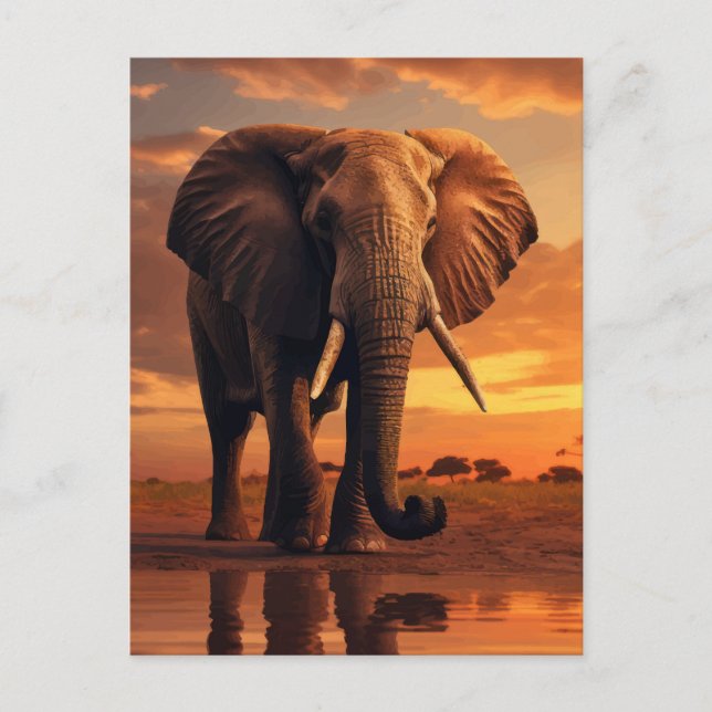 Savannahs Majesty Postcard (Front)