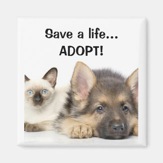 Save a life... ADOPT! Magnet