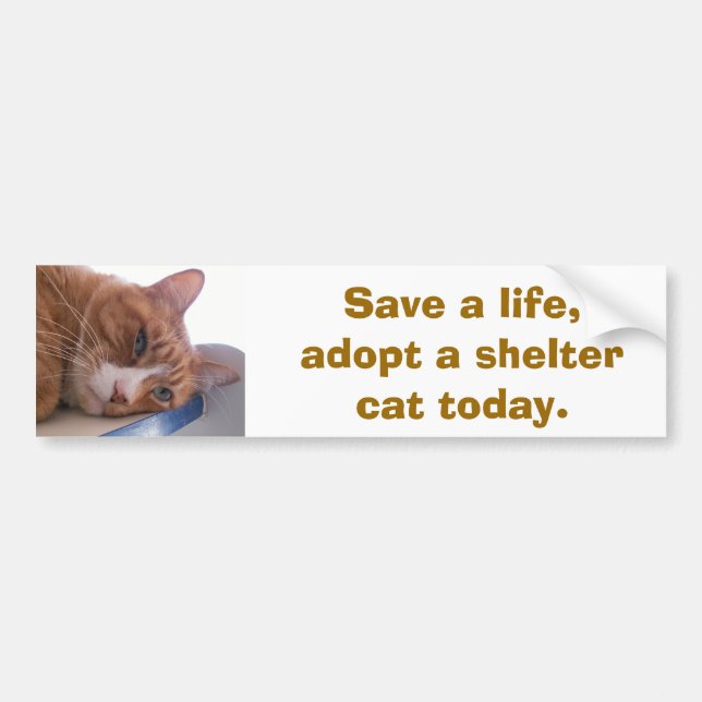 Save a life bumper sticker (Front)
