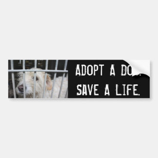 Save A Life Bumper Sticker
