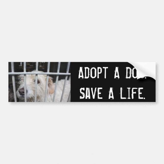 Save A Life Bumper Sticker (Front)