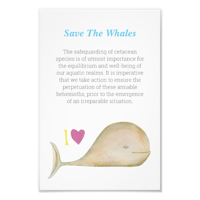 Save a Whale, Save a Planet Photo Print (Front)