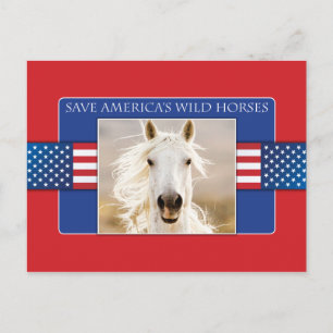 Save America's Wild Horses Postcards