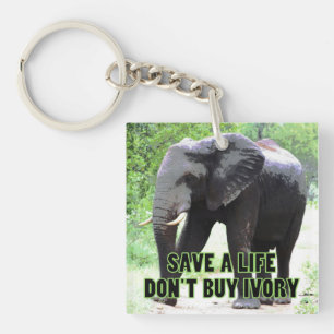 Save an Elephant's Life, Don't Buy Ivory Keychain