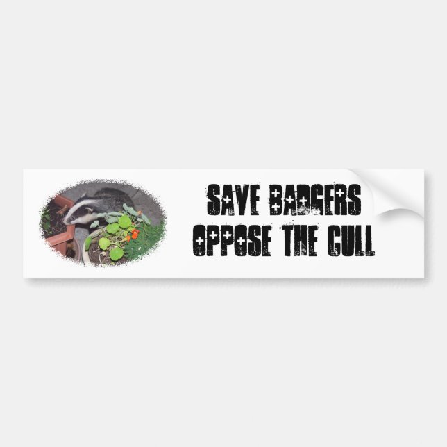 Save BADGERS, s'opposer à Cull, autocollants de vo (Devant)