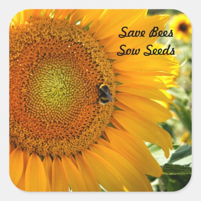 Save Bees - Sow Seeds Sticker (Front)