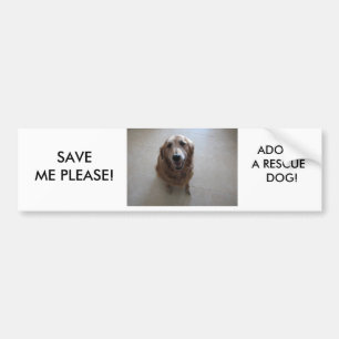 SAVE ME PLEASE - ADOPT A RESCUE DOG! BUMPER STICKER
