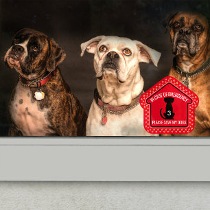 Save My Dogs Safety Alert Custom First Responder  Window Cling