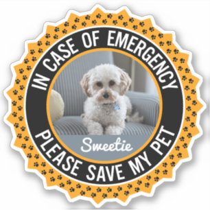 Save My Pet Safety Alert Name Photo Custom Color