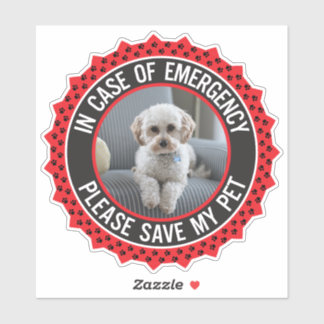 Save My Pet Safety Alert Name Photo Custom Color S