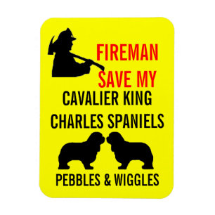 Save My Two Cavalier King Charles Spaniel Dogs Magnet