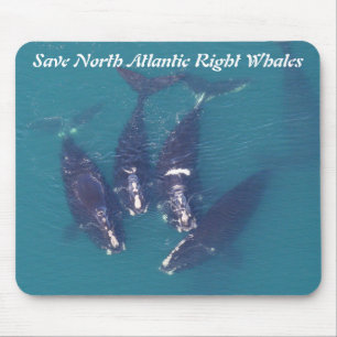 Save North Atlantic Right Whales by RoseWrites Mouse Pad