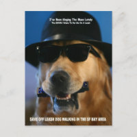 Save Off-Leash Dog Walking Congresswoman Pelosi