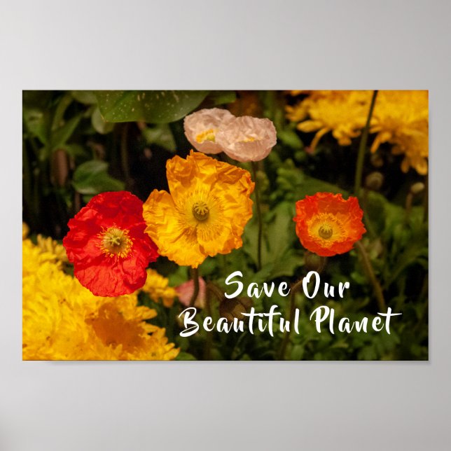 Save Our Beautiful Planet Pretty Bright Flowers Poster (Front)