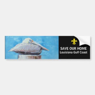 SAVE OUR HOME BUMPER STICKER