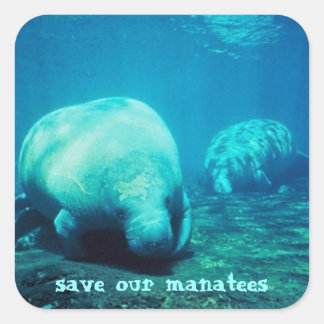 Save Our Manatees Stickers