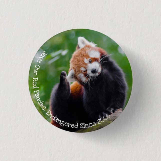Save Our Red Pandas 1 Inch Round Button (Front)