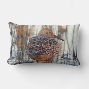 Save Our Shorebirds Cushion by RoseWrites