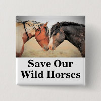 Save Our Wild Horses