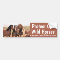 Save Our Wild Horses