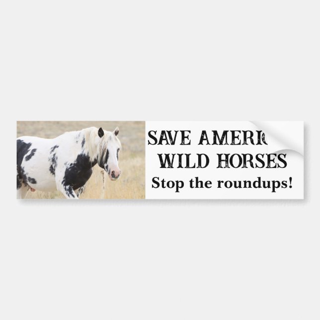 Save Our Wild Horses Thor  Bumper Sticker (Front)