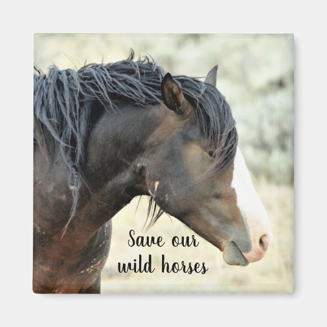 Save our Wild Mustangs of the West Magnet (Front)
