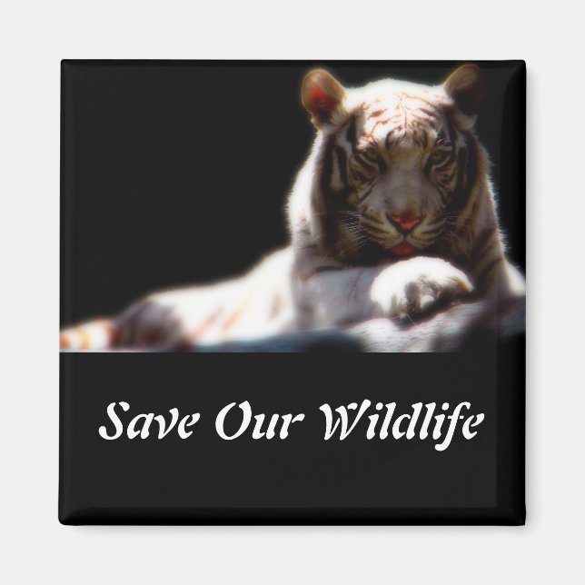 Save Our Wildlife Tiger Square Magnet (Front)