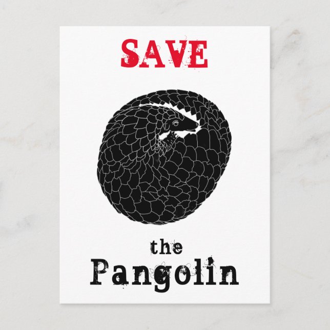 Save Pangolin Endangered species Animal Monochrome Postcard (Front)