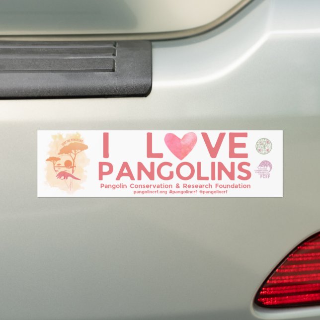 SAVE PANGOLINS Special edition Bumper Sticker (On Car)