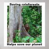 Save the Rainforests to Save Our Planet