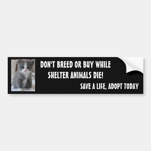 SAVE SHELTER ANIMALS... BUMPER STICKER (Front)