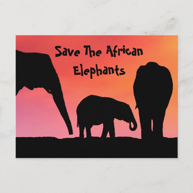 Save The African Elephants Postcard (Front)