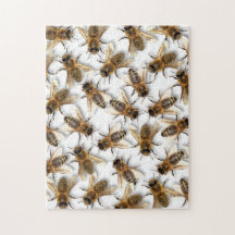 Save the Bee! Save the World! Live Design