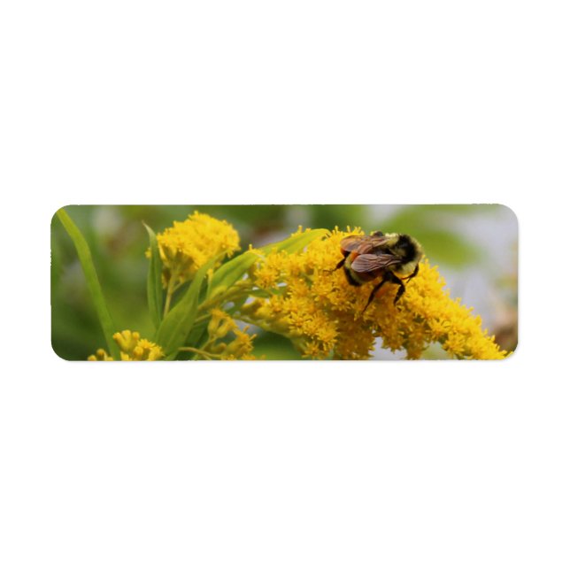 Save the Bees (Front)