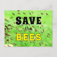 Save the Bees